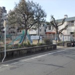 竹屋保育園