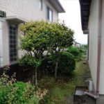 呉市焼山東2丁目土地　現地