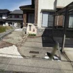 ダイアパレス宝町　前面道路