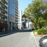 ドリームコーポ平和苑　前面道路