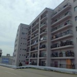 みゆきパークマンションA棟　外観。(外観)